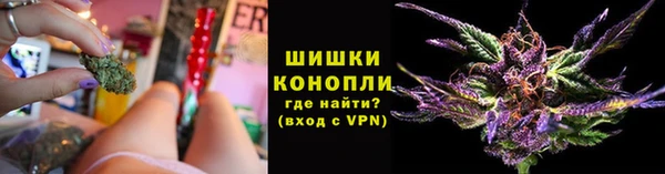 мяу мяу мука Касимов