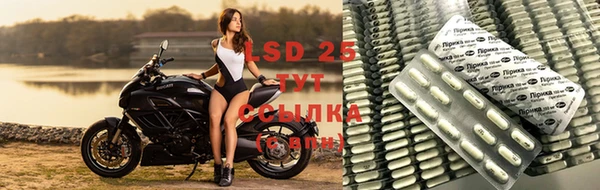 мяу мяу мука Касимов